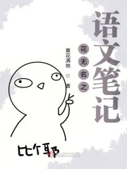 ������֮���ıʼ�